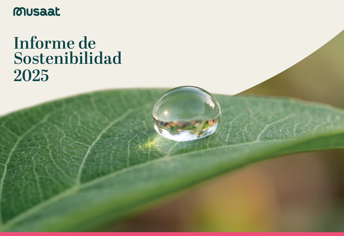 IV Informe de Sostenibilidad